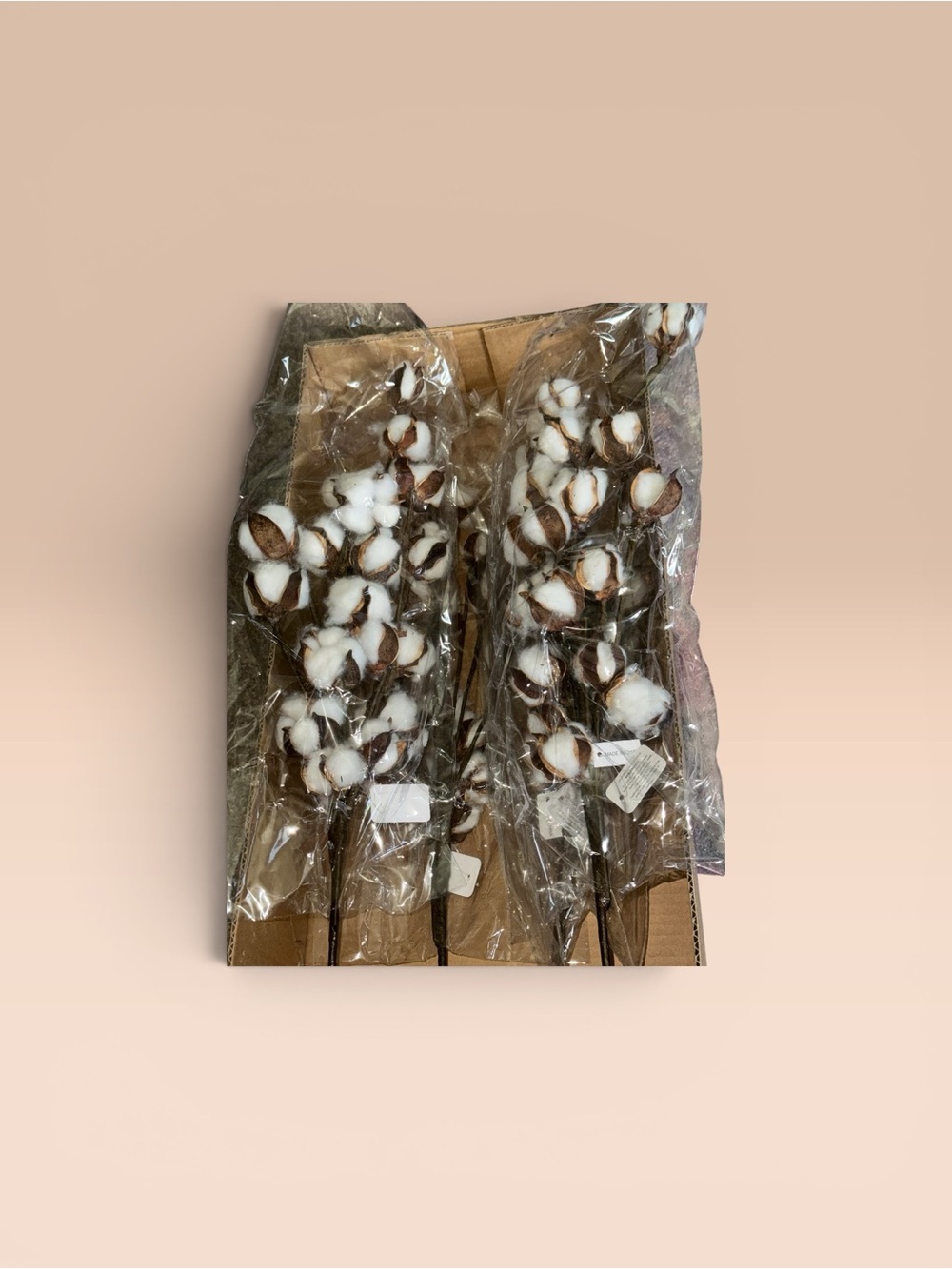 (4) new individually wrapped Natural Cotton Stem Accent Bundle - White